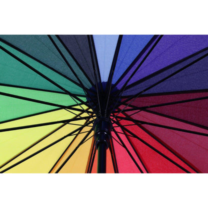 Rainbow Umbrella AU-46 - Auto Open with Fibreglass Ribs Metal Shaft Pongee material and a Leather Hook Handle